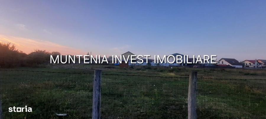 Teren 6000 mp. intravilan Smeura, str. Olteni - 1