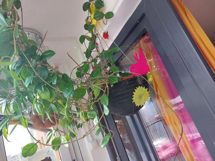 Garsionera metrou Grigorescu - 5