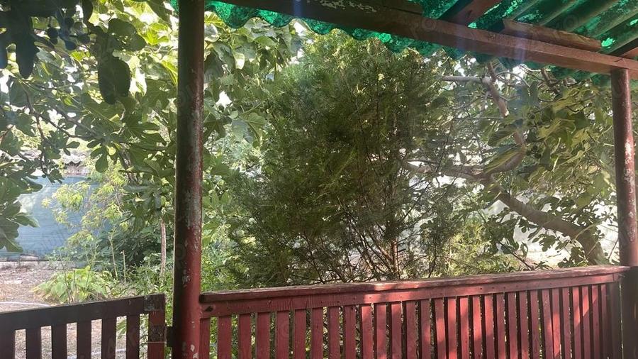 Casa ?i teren localitatea Mahmudia bra?ul Sf. Gheorghe (Delta Dunarii) - 2