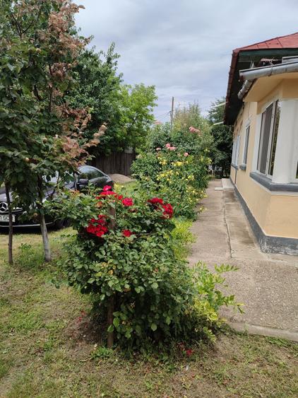 Vand casa in Oinacu jud Giurgiu - 1