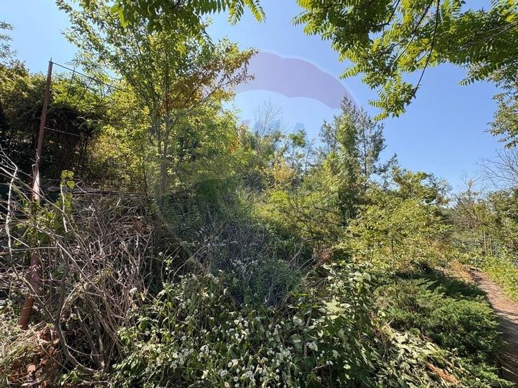 Teren intravilan 589 mp si cabana din caramida in Cuvin - 5