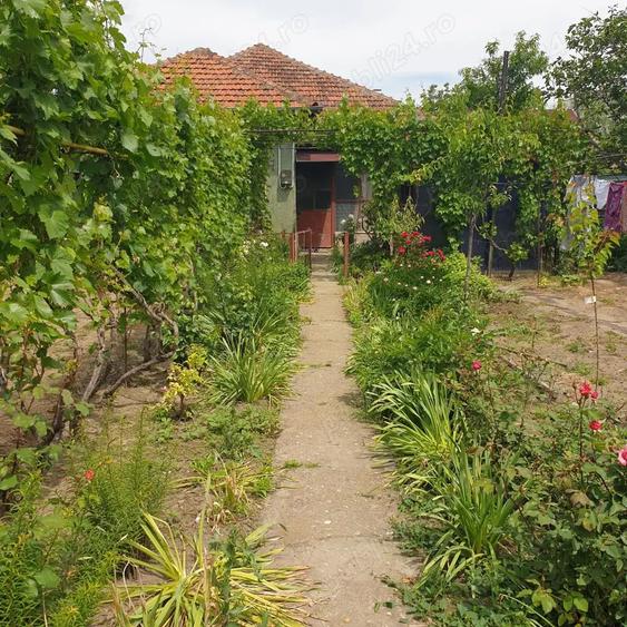 Casa de vanzare in Craiova pe Raului, teren mare - 1