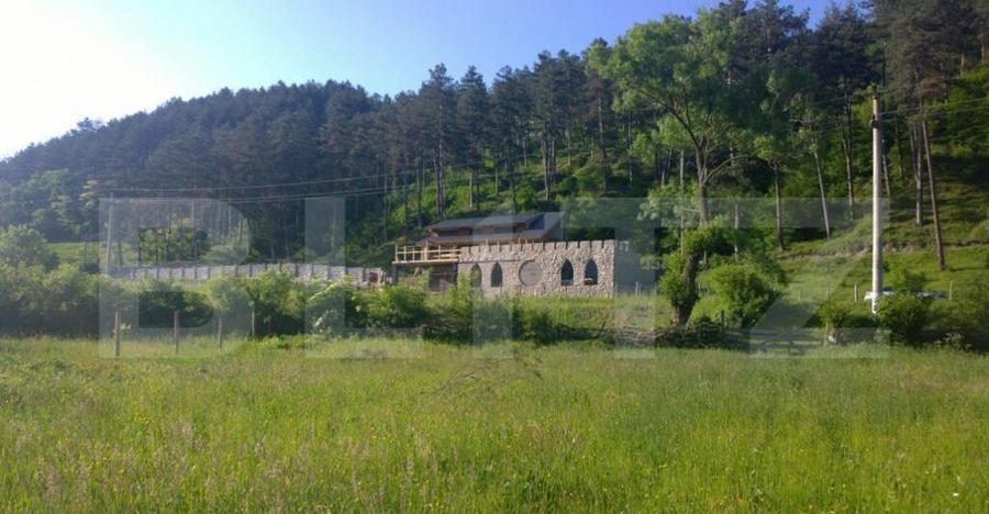 Oportunitate!!! Casa individuala la rosu, 247 mp, Teren 5000 - 11