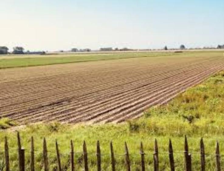 2,3 ha teren agricol la Farcas judetul Dolj - 1