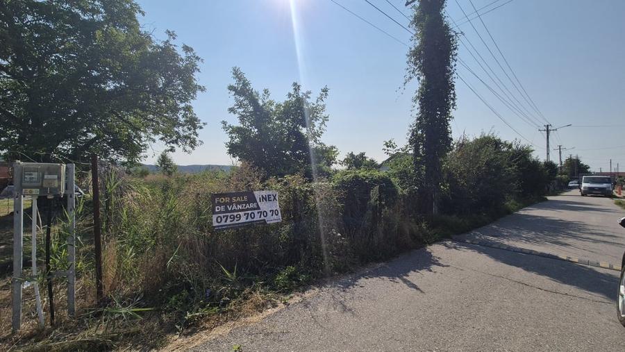 Teren intravilan Bascov - Lunca | 3151 mp - 2