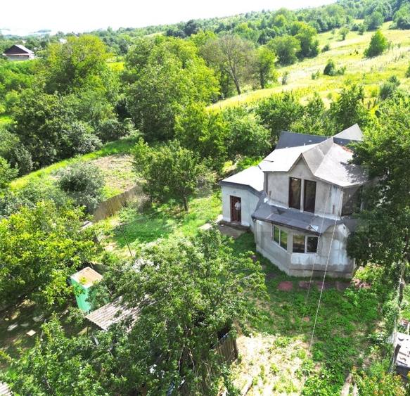 Casa intabulata in Dobrovat - 2