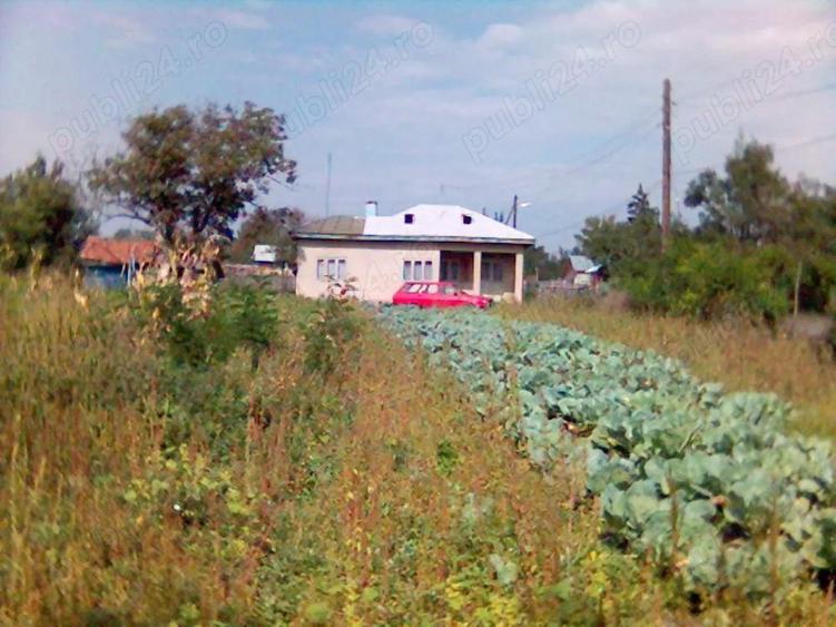 DE vanzare casa, curte si gradina Slatioarele jud Ialomita - 5