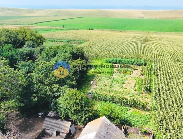 TEREN intravilan  9.126 mp - comuna STEFAN cel MARE