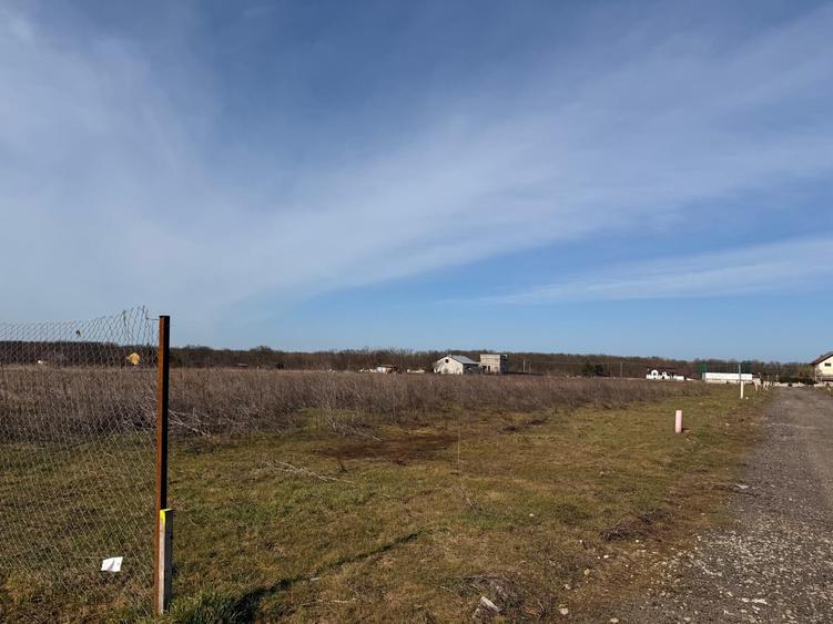 TEREN 450 mp Brănești, Strada Violetelor - 1