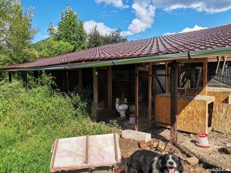 Proprietar Vand casa - 5