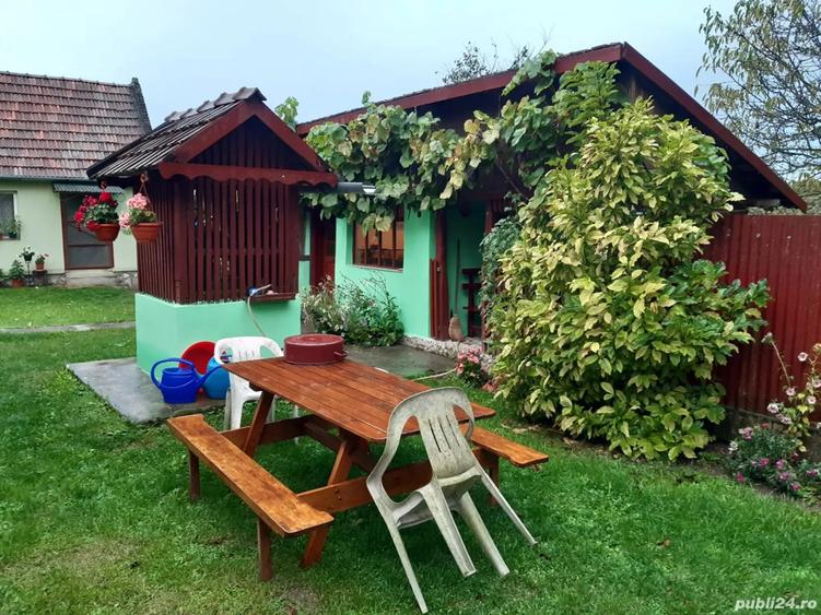 Casa de vanzare in sat Capalnas, comuna Birchis - 4