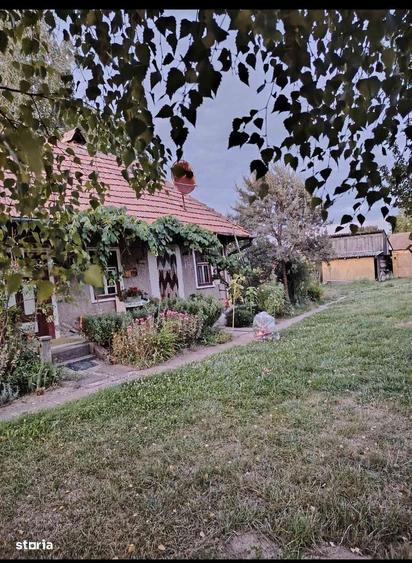 Casă cu 3 camere în Dobolii de Sus