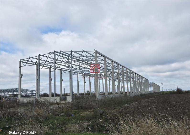 Depozit/hala/spatiu industrial Mogosoaia - Buftea - 5