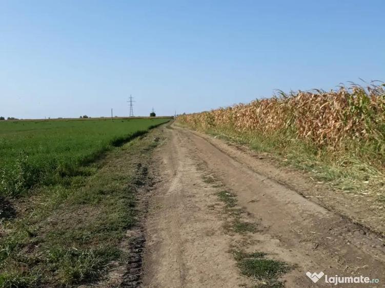 Teren agricol extravilan 15000mp - 3