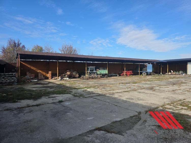 Cheveresul Mare – Platforma betonata, Hala - 5