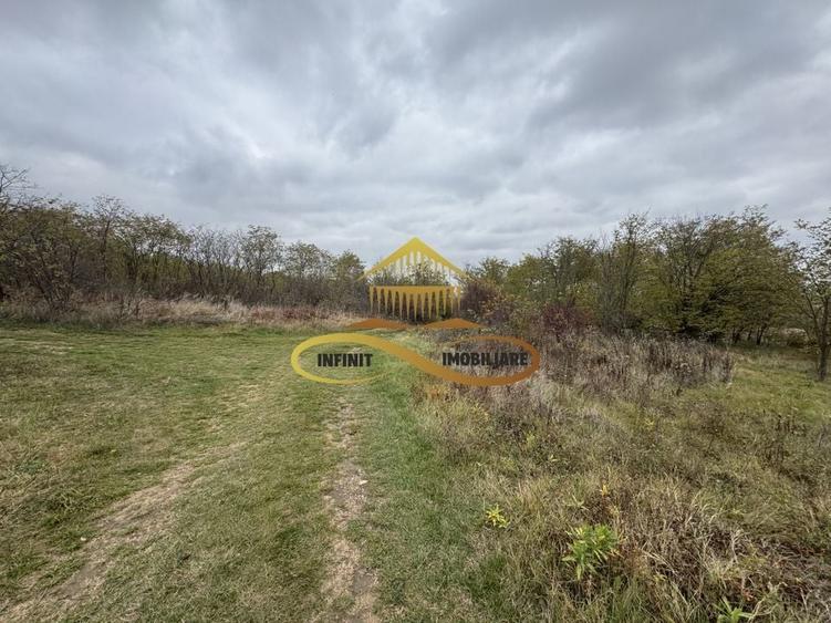 Teren intravilan in Fantanele | Hemeius - de vanzare - 3