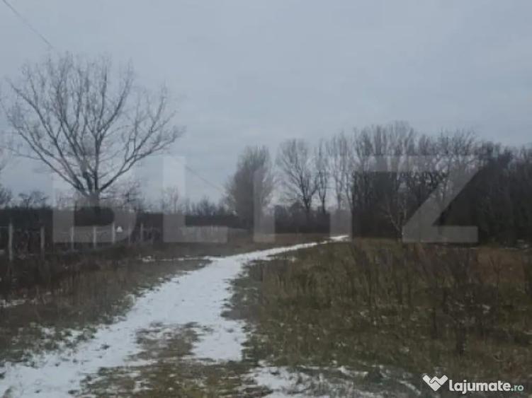 Teren intravilan, 447 mp, zona Priseaca - 4