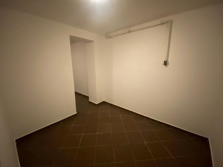 Individual villa for rent with 700 sq. m garden - 4