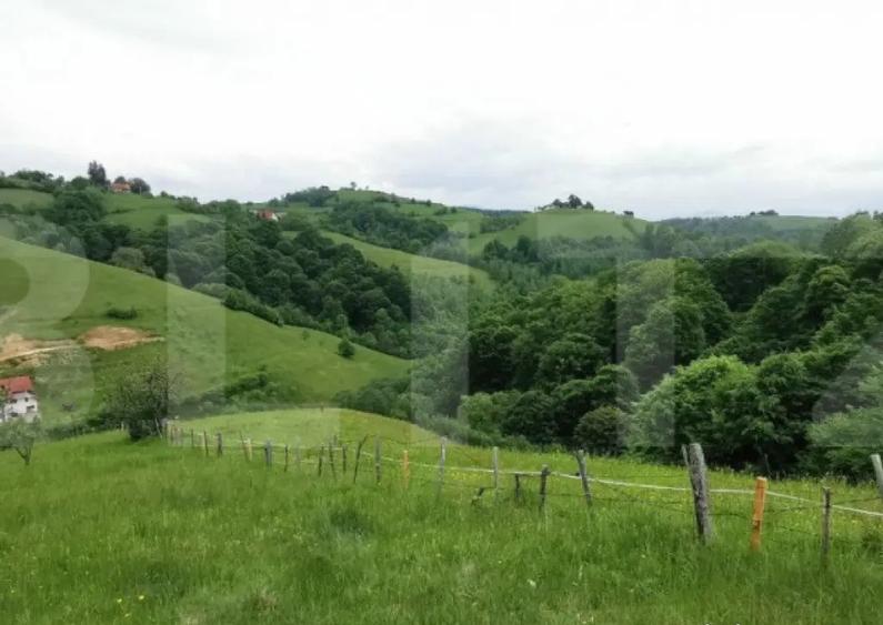 Teren, 12.928 mp, Poiana Marului, Bra?ov - 4