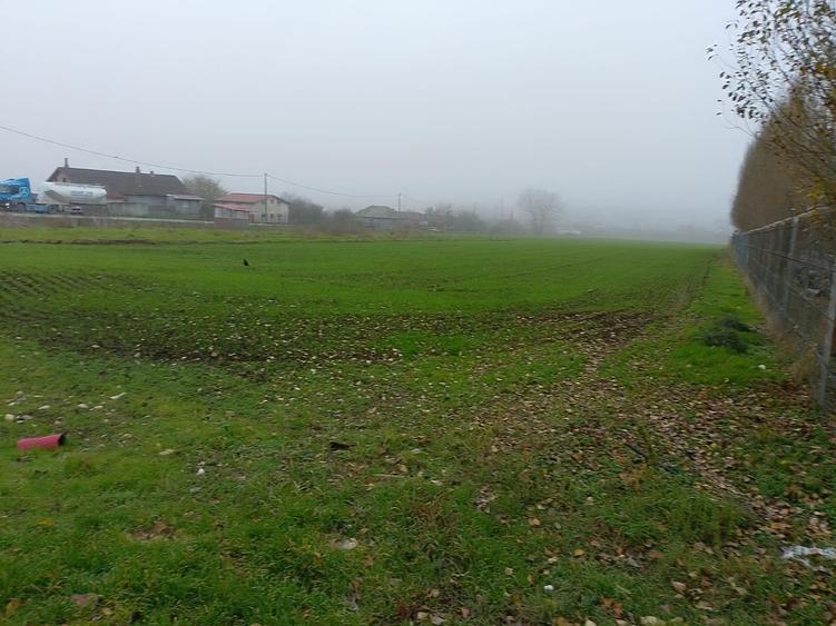 Lumina  teren 10000 mp - 2