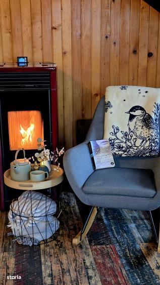 Casa superba renovata complet cu vedere la lacul Padureni,30 min de Bv - 2