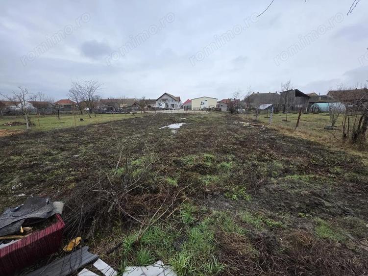 De vanzare casa in Tormac, jude?ul Timi? la doar 38 km de Timi?oara - 11