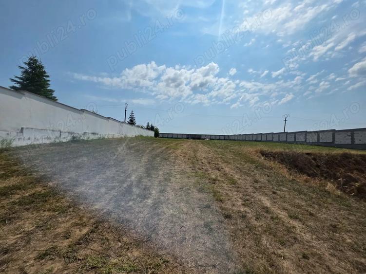 Teren de inchiriat 5000 mp Ciofliceni-Snagov -deschidere lac 36 mp - 6