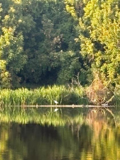 Casă individuală cu 5 camere cu Canalizare în Tei