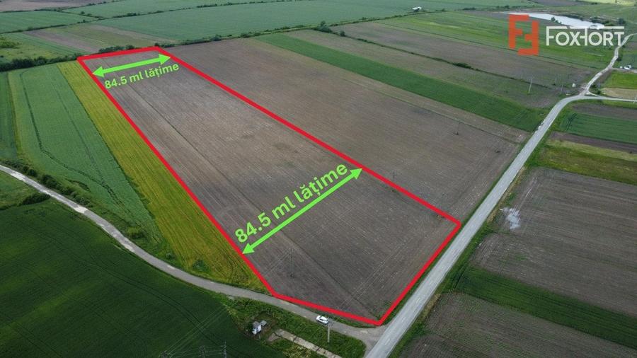 Teren Construcții intravilan de 40600 mp, în Bucovăț (Remetea Mare)