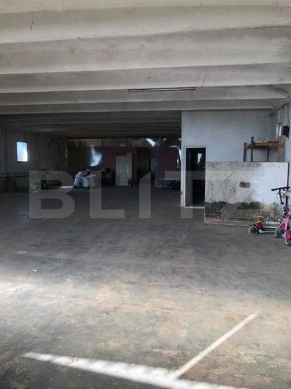 Spațiu industrial, de 222 mp, în Botiz