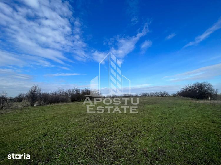 Spațiu comercial, de 10,000 mp, în Gai