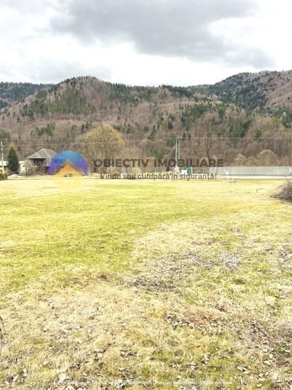 Teren intravilan de 2207 mp, în Tarcău