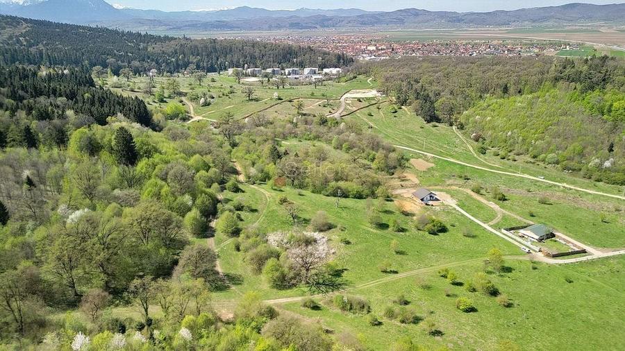 Teren Intravilan parcele 1000mp - 8