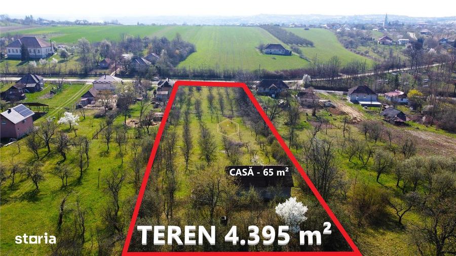 Casa cu 2 camere si livada | Teren 4.395 mp cu alee printre 70 de pomi - 3