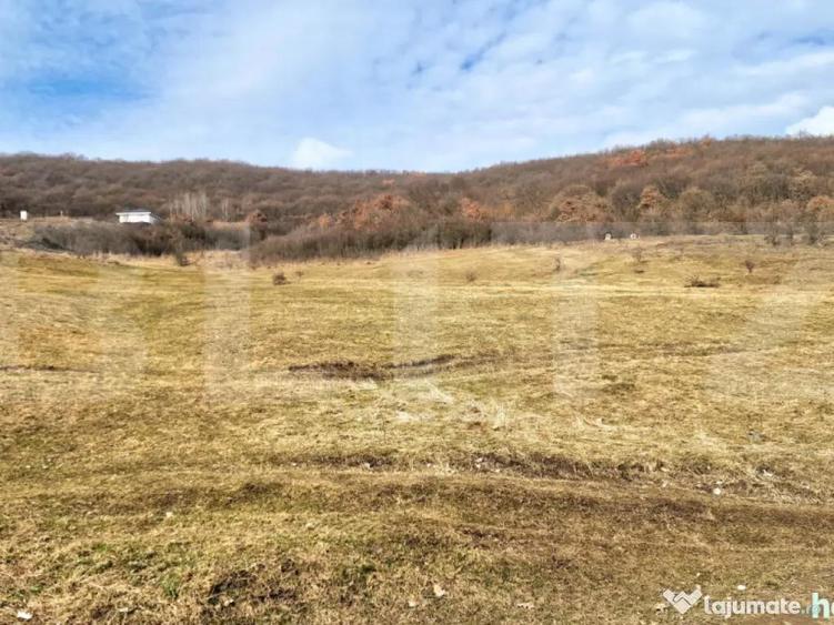 Teren intravilan 4100 mp in Flore?ti | Parcelabil | Zona - 2