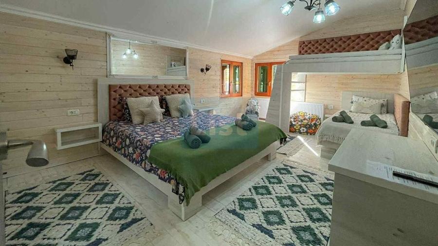 Casa de vacanta superba in Crivaia - 4