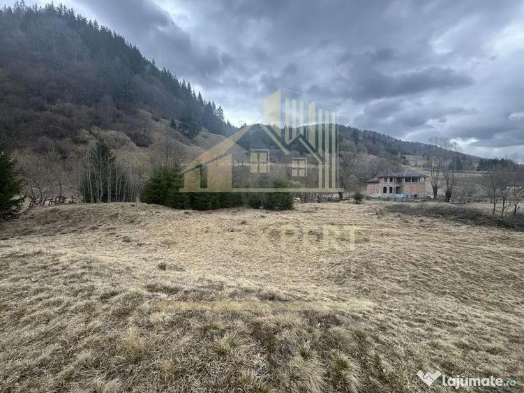 TEREN INTRAVILAN 500 MP SATIC- RUCAR - 12