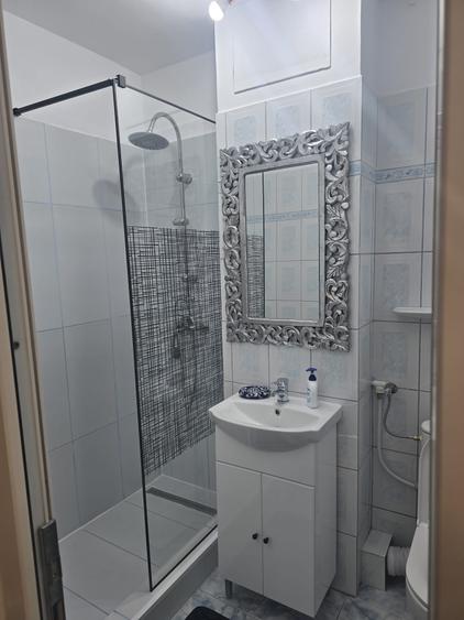 Parcul Circului, Bd Lacul Tei, decomandat - 9