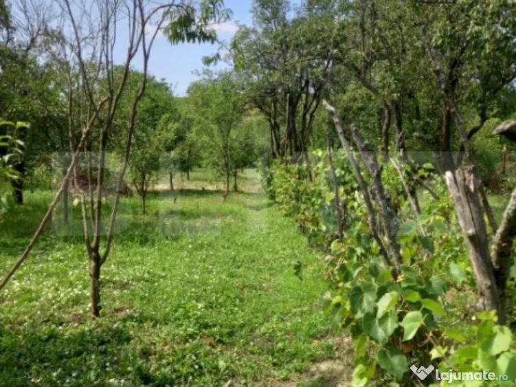 Gospodarie Completa, 130 mp, 1.300 mp Teren, Doice?ti - 1