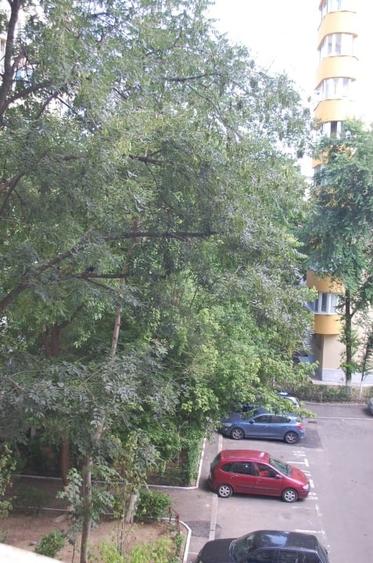 Garsonieră Lacul Tei - 4