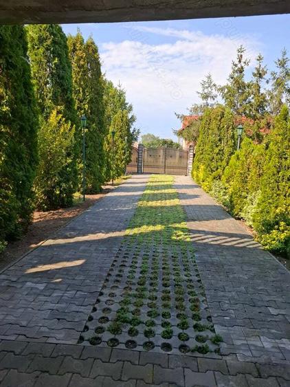 Casa cu lac in comuna Acas jud Saru Mare - 1