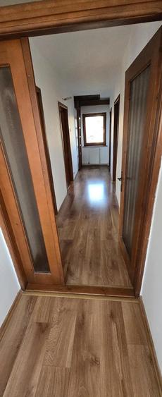 Casa de inchiriere sau vanzare Ana Ipatescu - 8