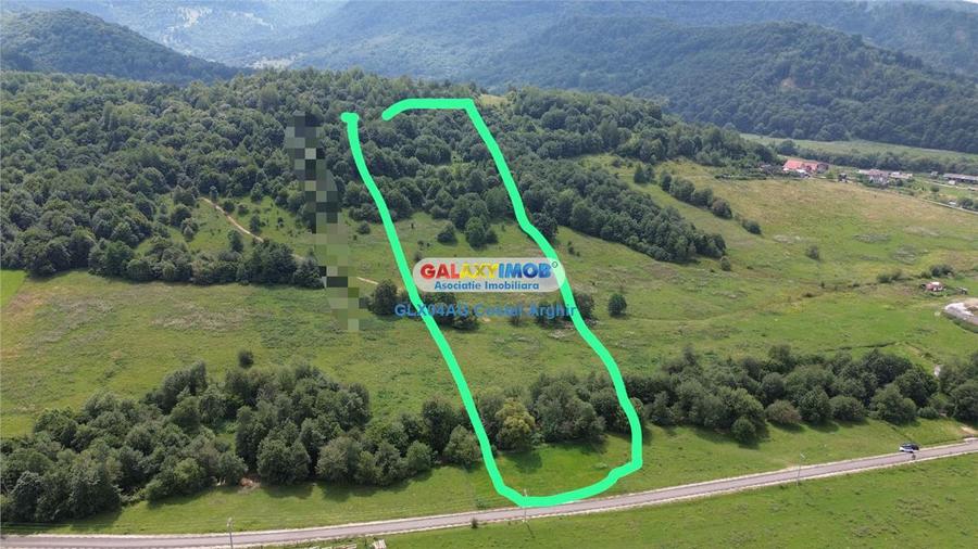Vindem teren 20000 mp Cheile Rasnoavei - Brasov , pentru case vacanta - 2