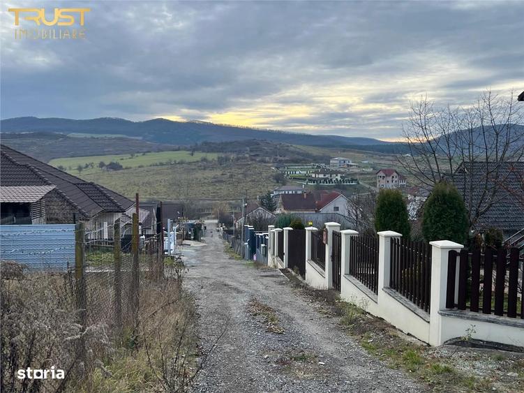 Teren intravilan 1000 mp Liniste, spatiu si ince - 3