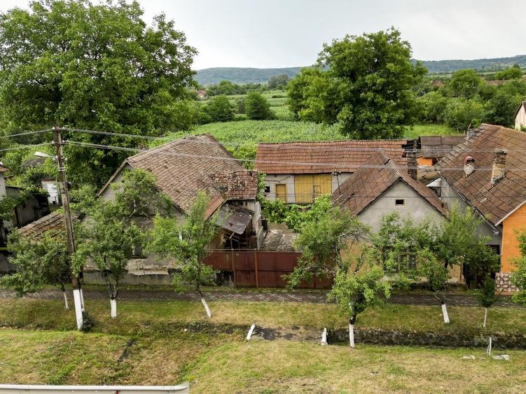 Teren și casă în Odvoș - 2