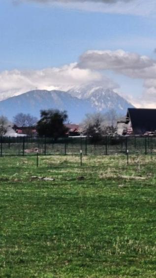 Teren pretabil duplex in zona pitoreasca cu acces usor catre oras - 2