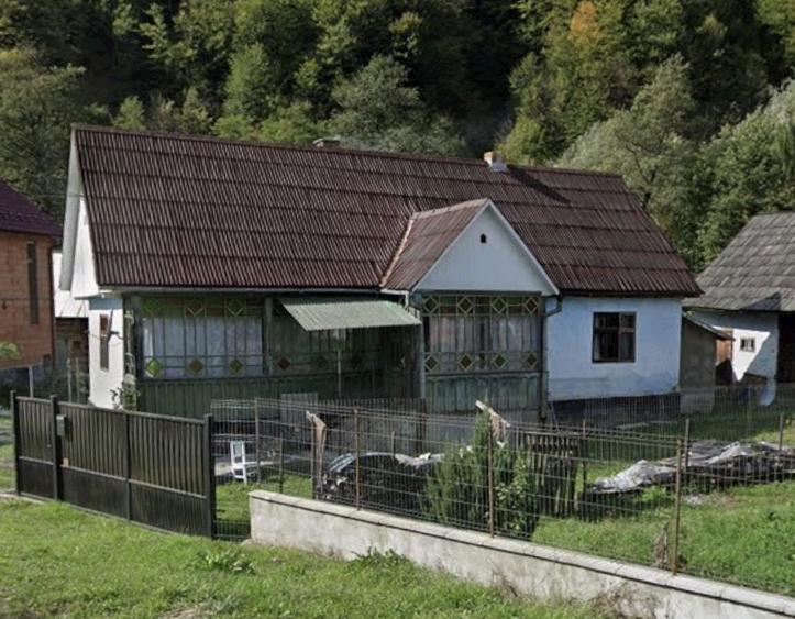 Vand Casa din Lemn pt Restaurare - 1