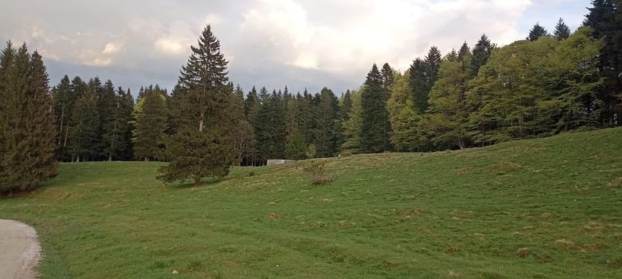 Vanzare teren 900 mp/25 ml toate utilitatile, Predeal laga Cabana Trei Brazi - 4