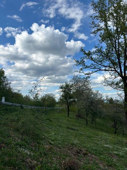 Teren intravilan - 4