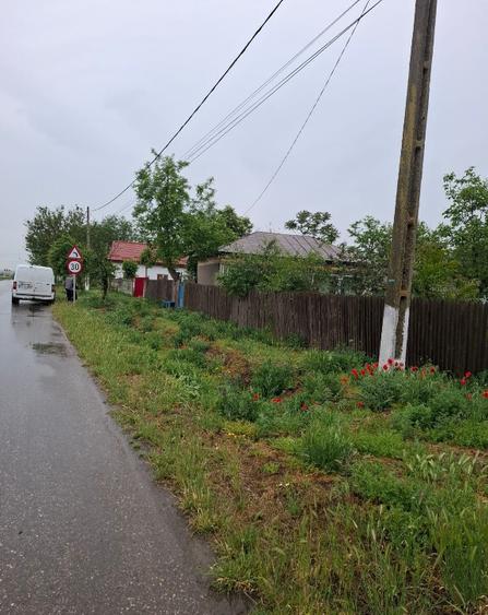 Casa in Sat Segarcea Deal jud. Teleorman - 2